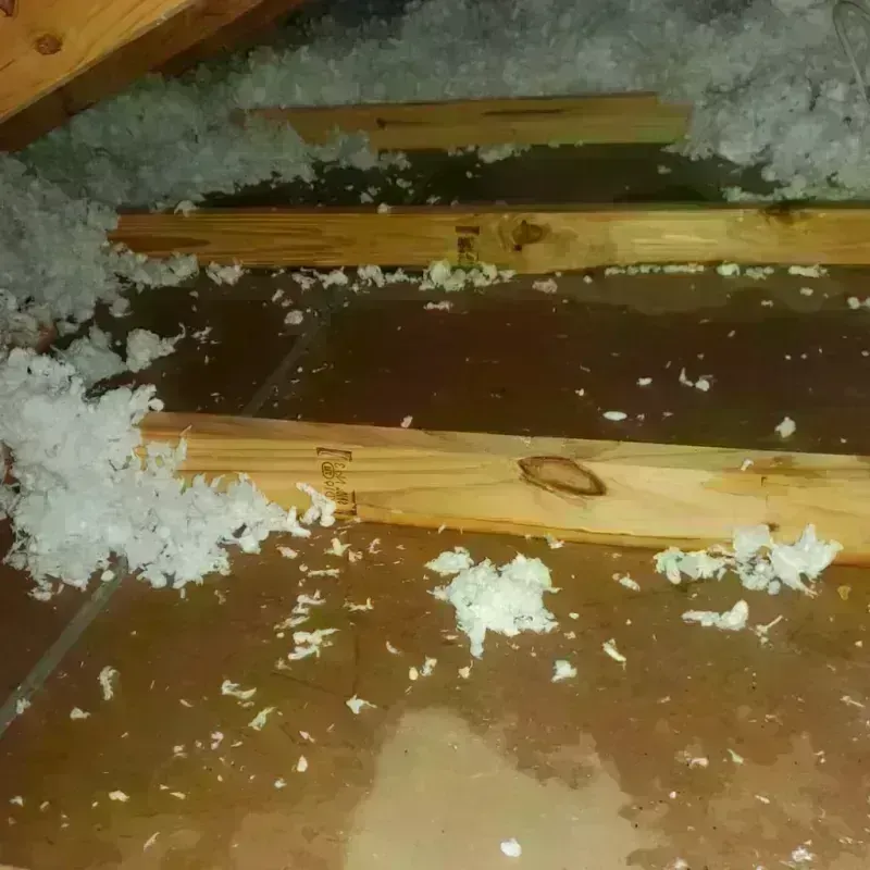 Attic Water Damage in Johnson County, TN